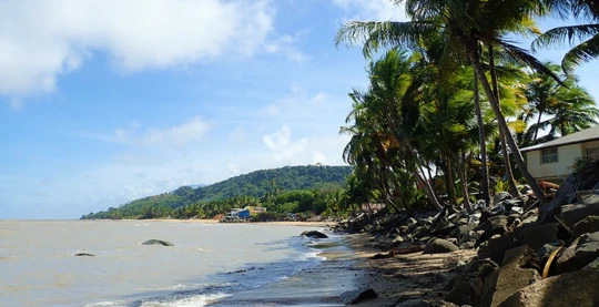 La magnífica isla coralina de Remire, un destino íntimo con exuberante vegetación