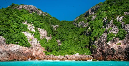 La Reserva Natural de Aride, uno de los tesoros naturales de las Seychelles, con 73 hectáreas de resplandeciente vegetación y más de un millón de aves