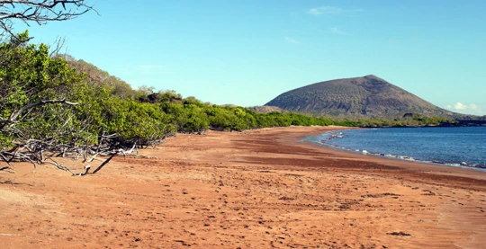 Discover Espumilla Beach