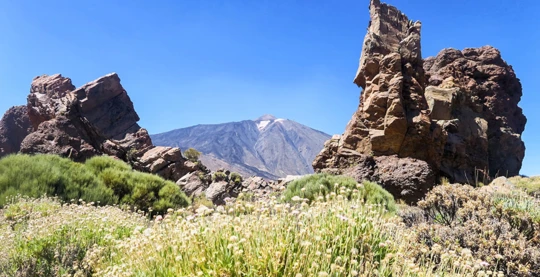 Parque Nacional de las Cañadas del Teide