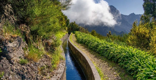 La découverte des levadas et du village pittoresque de Camacha à Madère