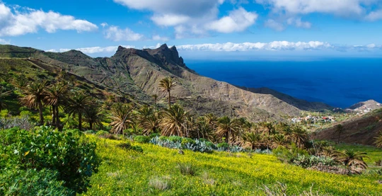 L'exploration des sept îles des Canaries : Gran Canaria, Lanzarote, Tenerife, Fuerteventura, La Palma, El Hierro et La Gomera