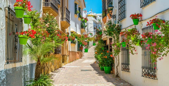 Visite guidée de Malaga