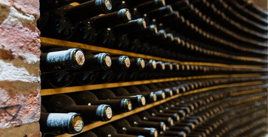 Weinverkostung im Podrum Panajotovic