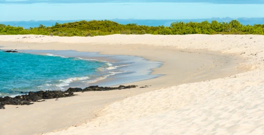 Besuch der Las Bachas: Strand und Schnorcheln