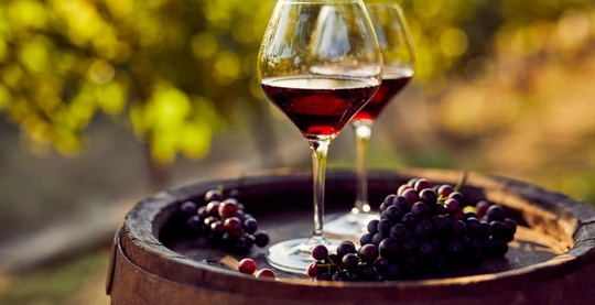 Weinverkostung in Leventa