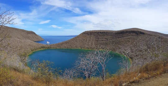 Besuch der Tagus Cove: Geschichte und Kajak-Abenteuer