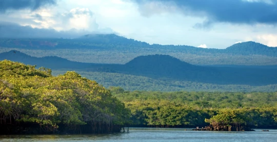 Zodiac-Abenteuer in Caleta Tortuga Negra