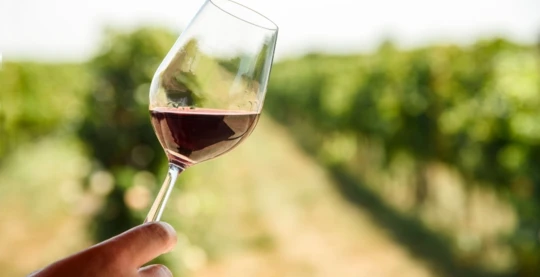 Randonnée au Château Boutinet avec dégustation de vin et tapas