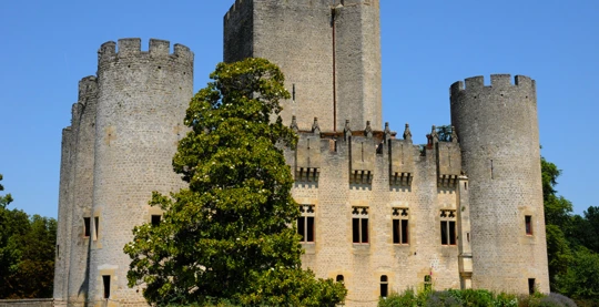 Château de Roquetaillade avec dégustation de vin de Sauternes