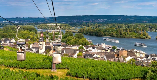 Giro in gondola e degustazione di vini