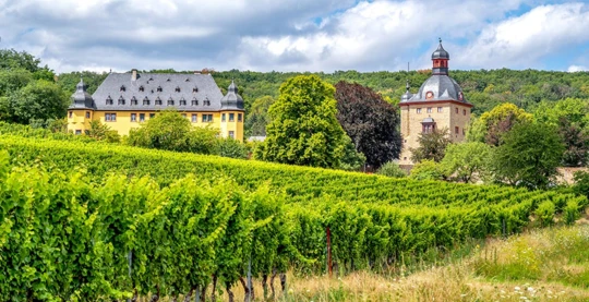 Tour in bicicletta guidato del Rheingau