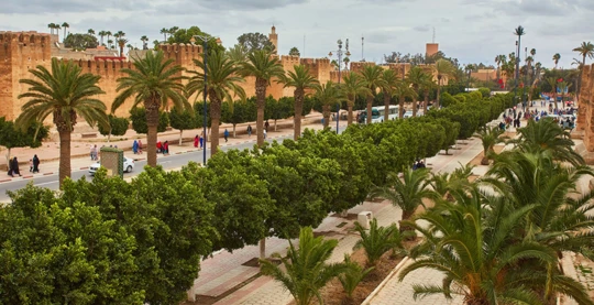 Excursion au sud marocain : Taroudant, l’authentique et la palmeraie de Tiout