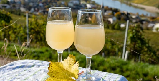 Degustazione di vini del Lussemburgo