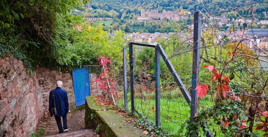 Escursione sul Sentiero dei Filosofi a Heidelberg