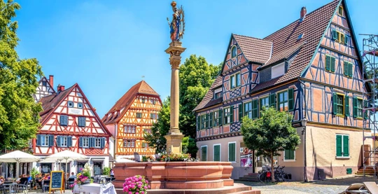 Tour in bicicletta di Ladenburg