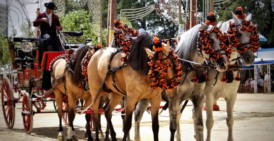 Découverte des traditions andalouses uniques au cœur de la Féria de Séville