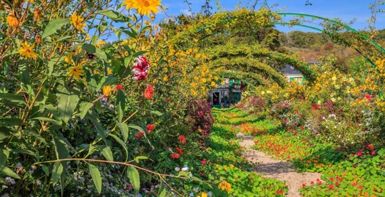 Vélo-tour de Giverny