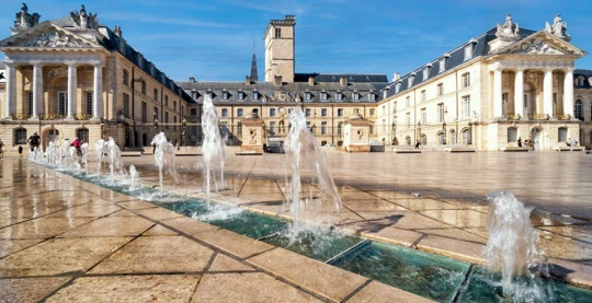 Visite guidée de Dijon