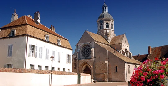 Visite à pied de Seurre
