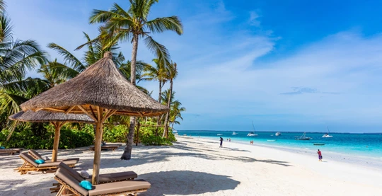 Unesco sites: Aldabra, the world's largest emerged atoll, the ruins of Kilwa Kisiwani and the stone city of Zanzibar