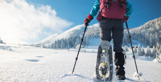 Snowshoeing and Tobogganing in Tromsø