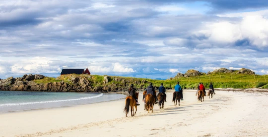 Horse riding in Lofoten
