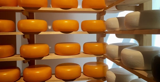 Visita al museo del formaggio di Gouda e degustazione di formaggi