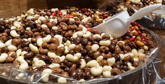 Visite guidée de Bruxelles et d'une chocolaterie artisanale