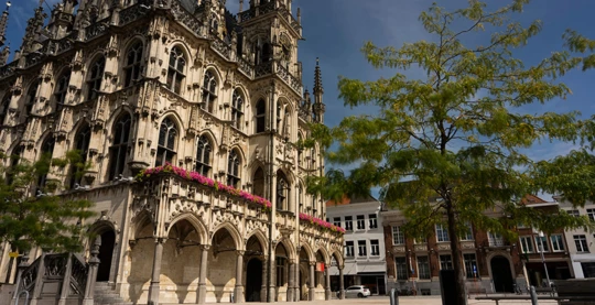 Visite guidée d’Audenarde et d’une distillerie