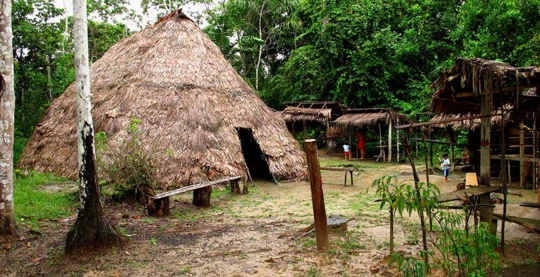 Visite d’un village amazonien