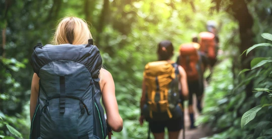 Randonnée dans la jungle