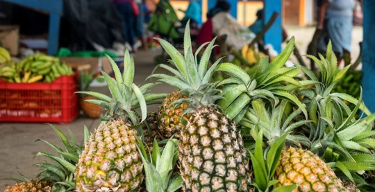 Visite guidée du marché local
