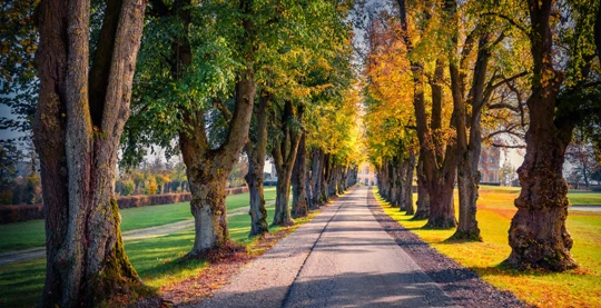 Linz : la campagne à vélo