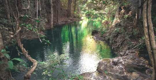 Una passeggiata nel cuore selvaggio di Moyo