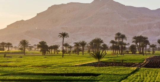 In-depth tour of Plantation Island