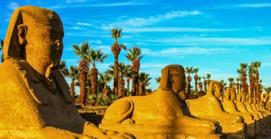 Walk along the Sphinx Alley