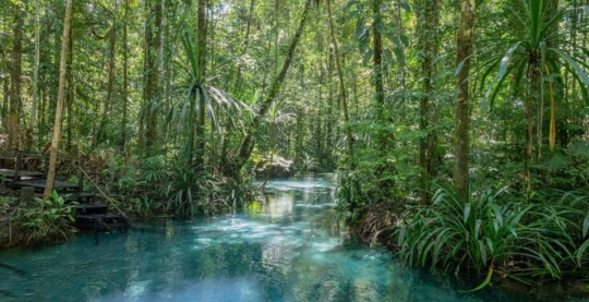 Escursione sull'isola di Waigeo