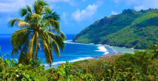 Tour guidé de l’île de Rurutu en bus ou en truck