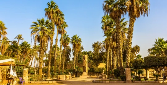 Besuch der alten Hauptstadt Memphis