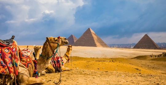 Kamelritt bei den Pyramiden