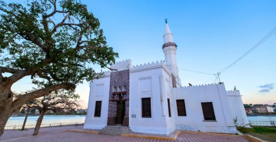 Bootsfahrt nach Abu Mandour