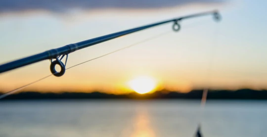 La pêche à la mouche