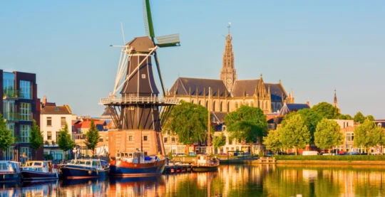 Guided tour of Haarlem