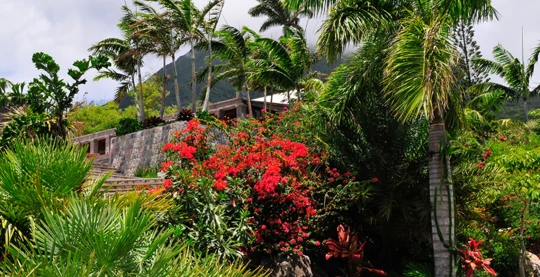 Museums and gardens of Nevis