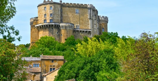 Visit of the medieval castle and educational falconry show
