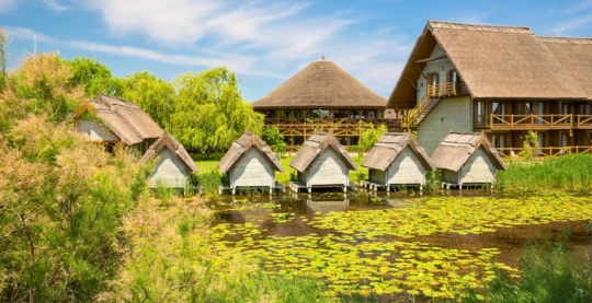 Harsova : excursion en bateau dans le delta supérieur du Danube