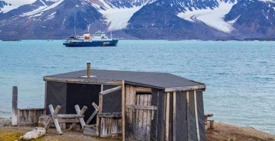 Besuch der Texas Bar und des Monaco-Gletschers