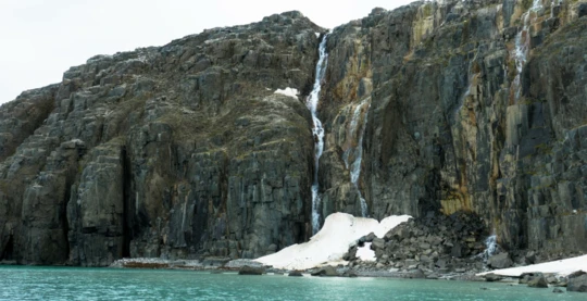 Besuch der Vogelklippen von Alkefjellet