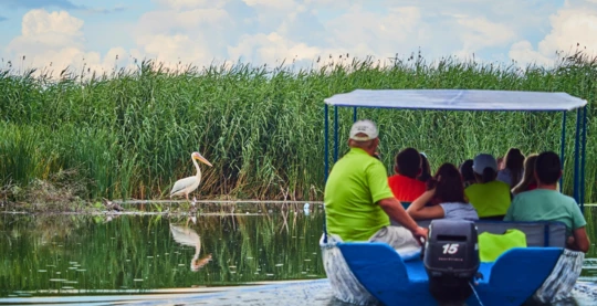 Harsova: Tulcea exclusive - Danube Delta with speedboats to the pelican reserve